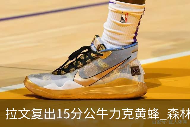 拉文复出15分公牛力克黄蜂 森林狼大胜火箭